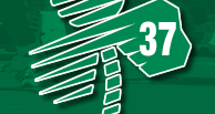 Holyoke Patrick Day Best Road Races Holyoke Patrick Day Best Road Races