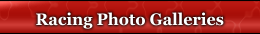 100 Photo Galleries