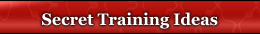 Secret Training Idears