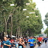 san_jose_half_marathon3 1151