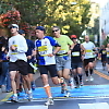 san_jose_half_marathon 8468