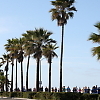 carlsbad_5000 19875