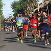 bali_double_road_race 30256