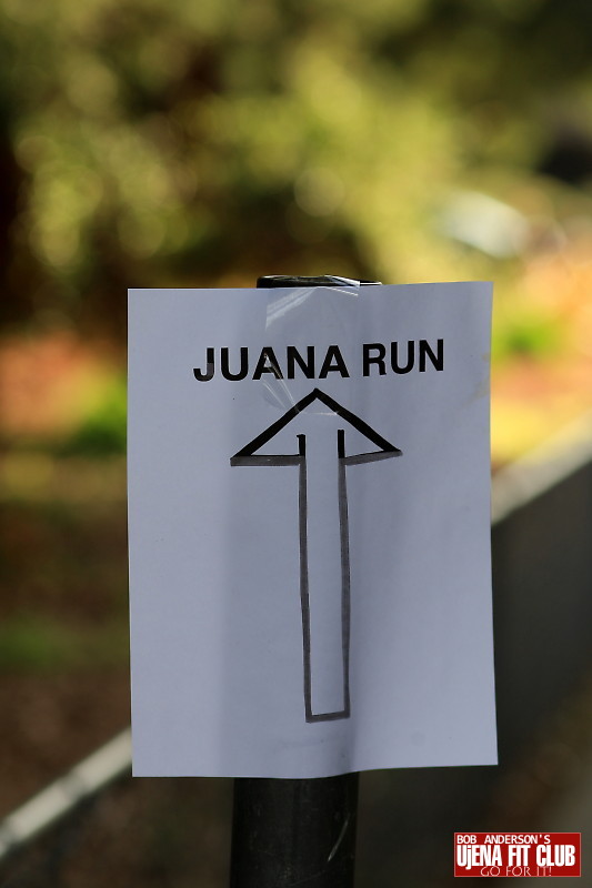 juana_run7 f 4748